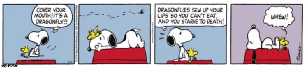 Daily Peanuts Comic Strip #3 | image tagged in peanuts,snoopy,woodstock,comics,funny,classics | made w/ Imgflip meme maker