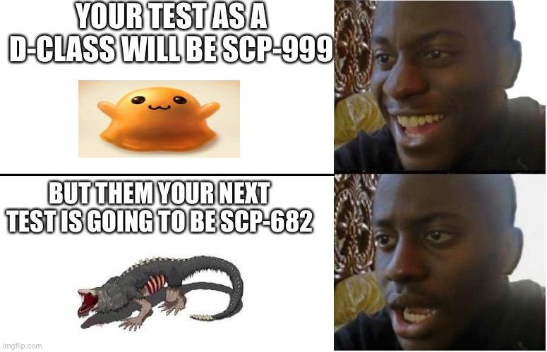 F in the chat to that d class | YOUR TEST AS A D-CLASS WILL BE SCP-999; BUT THEM YOUR NEXT TEST IS GOING TO BE SCP-682 | image tagged in black guy happy sad,scp,scp meme | made w/ Imgflip meme maker