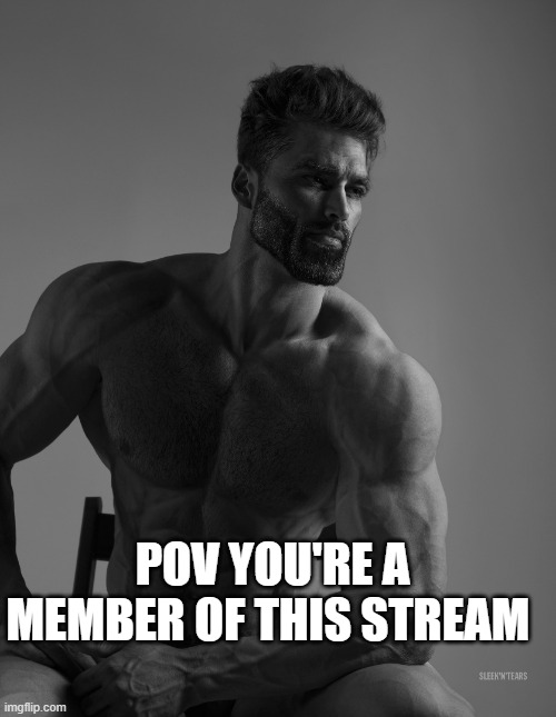 Giga Chad | POV YOU'RE A MEMBER OF THIS STREAM | image tagged in giga chad | made w/ Imgflip meme maker