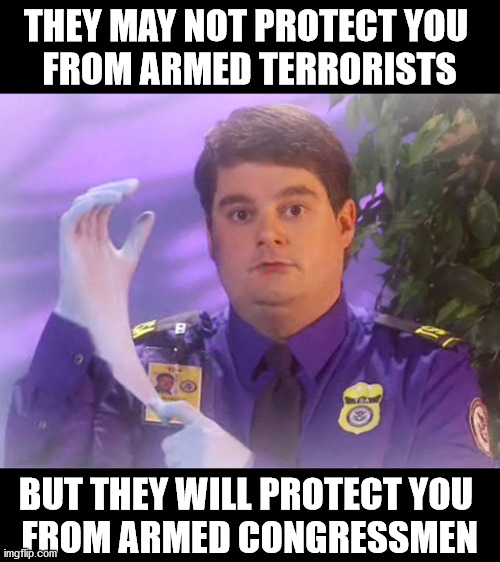 Finally a good use for them | THEY MAY NOT PROTECT YOU 
FROM ARMED TERRORISTS; BUT THEY WILL PROTECT YOU 
FROM ARMED CONGRESSMEN | image tagged in memes,tsa douche | made w/ Imgflip meme maker