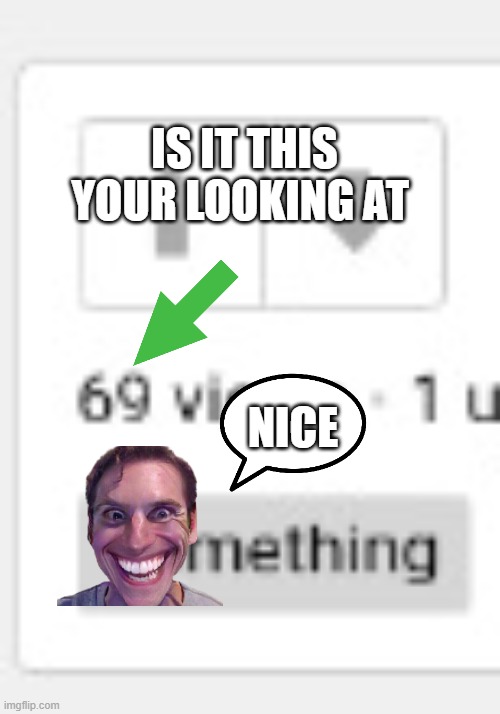 IS IT THIS YOUR LOOKING AT NICE | made w/ Imgflip meme maker