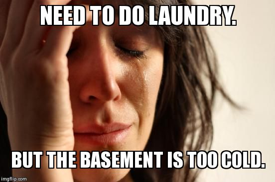 First World Problems | NEED TO DO LAUNDRY. BUT THE BASEMENT IS TOO COLD. | image tagged in memes,first world problems | made w/ Imgflip meme maker