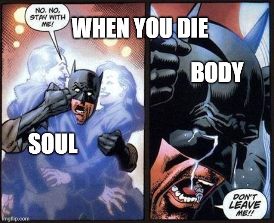 No one literally wants to die, lmao... | WHEN YOU DIE; BODY; SOUL | image tagged in batman don't leave me,die,soul,body,i don't wanna die | made w/ Imgflip meme maker