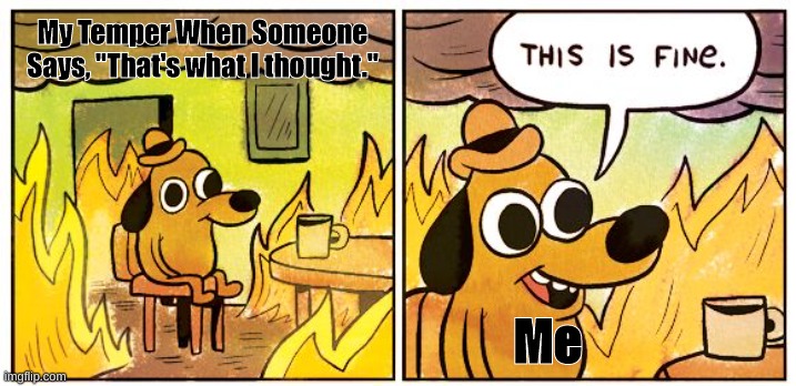 Like please, shut up. | My Temper When Someone Says, "That's what I thought."; Me | image tagged in memes,this is fine,you mad bro | made w/ Imgflip meme maker