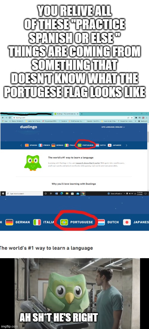 d*mnolingo | YOU RELIVE ALL OF THESE "PRACTICE SPANISH OR ELSE " THINGS ARE COMING FROM SOMETHING THAT DOESN'T KNOW WHAT THE PORTUGESE FLAG LOOKS LIKE; AH SH*T HE'S RIGHT | image tagged in blank white template,at the gym,duolingo,portugal,duolingo bird | made w/ Imgflip meme maker