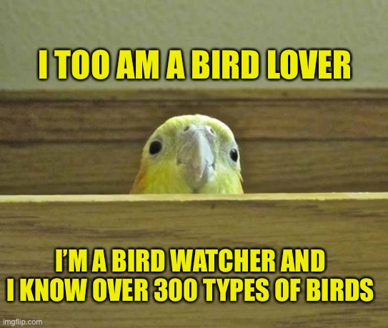 Fun facts about me that I bet you didn’t know | I TOO AM A BIRD LOVER; I’M A BIRD WATCHER AND I KNOW OVER 300 TYPES OF BIRDS | image tagged in the birb | made w/ Imgflip meme maker