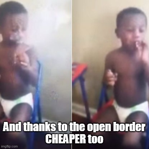 And thanks to the open border
CHEAPER too | made w/ Imgflip meme maker