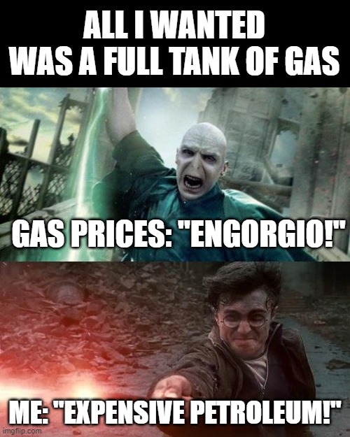 Expensive Petroleum! | ALL I WANTED WAS A FULL TANK OF GAS; GAS PRICES: "ENGORGIO!"; ME: "EXPENSIVE PETROLEUM!" | image tagged in harry potter meme | made w/ Imgflip meme maker
