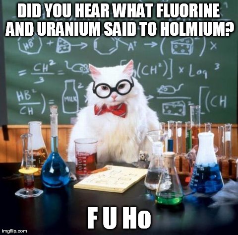 Chemistry Cat | DID YOU HEAR WHAT FLUORINE AND URANIUM SAID TO HOLMIUM? F U Ho | image tagged in memes,chemistry cat | made w/ Imgflip meme maker