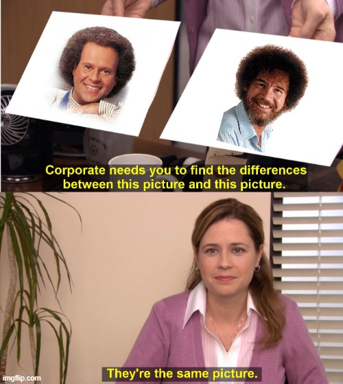 Separated At Birth? | image tagged in memes,they're the same picture,richard simmons,bob ross,afro,twins | made w/ Imgflip meme maker