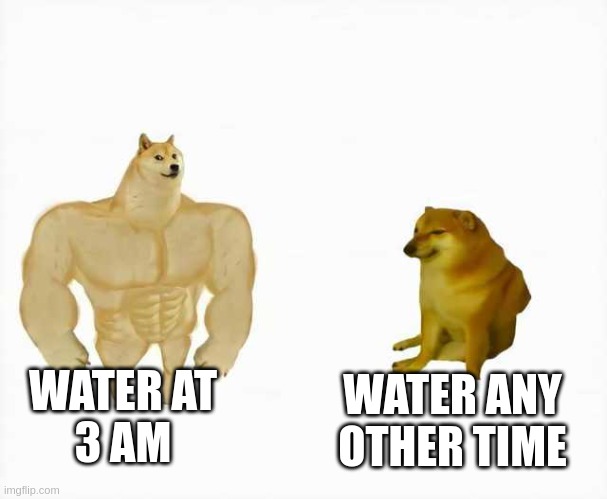water | WATER AT
3 AM; WATER ANY OTHER TIME | image tagged in strong dog vs weak dog,water | made w/ Imgflip meme maker