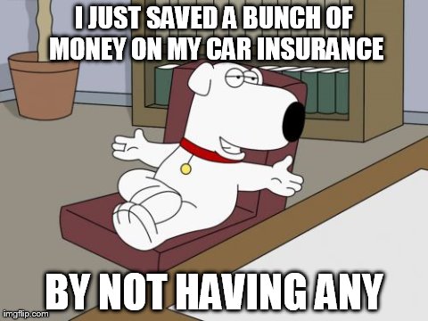 Brian Griffin | I JUST SAVED A BUNCH OF MONEY ON MY CAR INSURANCE BY NOT HAVING ANY | image tagged in memes,brian griffin | made w/ Imgflip meme maker