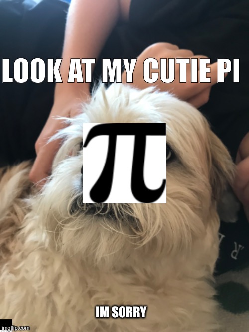 Im so sorry that This meme stinks but I just had to make it | LOOK AT MY CUTIE PI; IM SORRY | image tagged in pi day,doge,cute | made w/ Imgflip meme maker