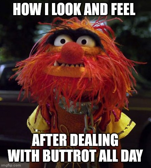 Animal Muppets | HOW I LOOK AND FEEL; AFTER DEALING WITH BUTTROT ALL DAY | image tagged in animal muppets | made w/ Imgflip meme maker