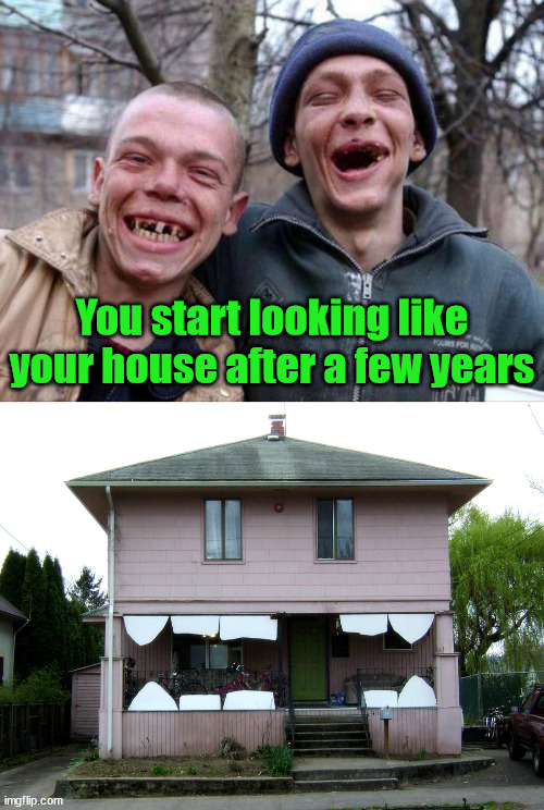 People say you start looking like your pet after a few years | You start looking like your house after a few years | image tagged in no teeth,meth,house,totally looks like | made w/ Imgflip meme maker