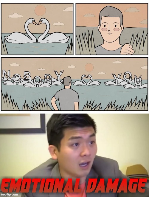 Look at the way the swans are positioned in the 3rd panel. | image tagged in emotional damage remake,they had us in the first half not gonna lie,savage memes | made w/ Imgflip meme maker