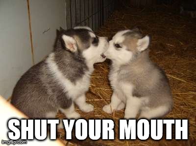 Cute Puppies | SHUT YOUR MOUTH | image tagged in memes,cute puppies | made w/ Imgflip meme maker