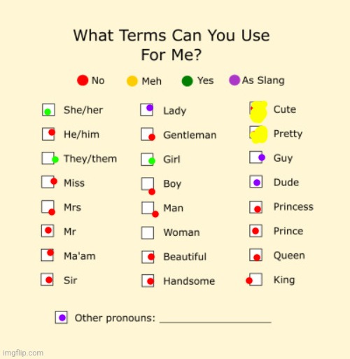 :/ | image tagged in pronouns sheet | made w/ Imgflip meme maker