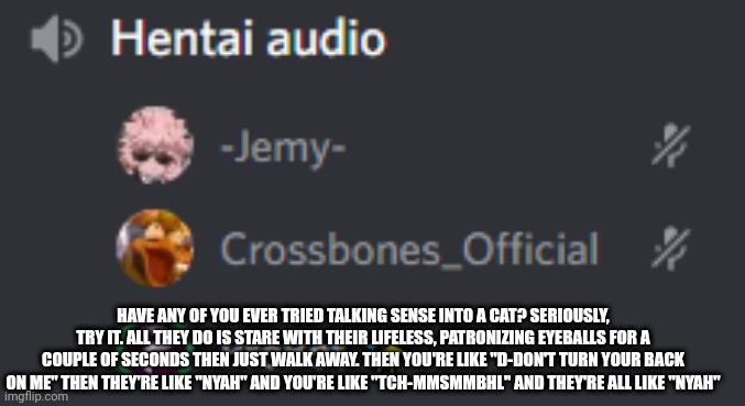 Hentai audio | HAVE ANY OF YOU EVER TRIED TALKING SENSE INTO A CAT? SERIOUSLY, TRY IT. ALL THEY DO IS STARE WITH THEIR LIFELESS, PATRONIZING EYEBALLS FOR A COUPLE OF SECONDS THEN JUST WALK AWAY. THEN YOU'RE LIKE "D-DON'T TURN YOUR BACK ON ME" THEN THEY'RE LIKE "NYAH" AND YOU'RE LIKE "TCH-MMSMMBHL" AND THEY'RE ALL LIKE "NYAH" | image tagged in hentai audio | made w/ Imgflip meme maker