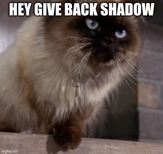 HEY GIVE BACK SHADOW | made w/ Imgflip meme maker