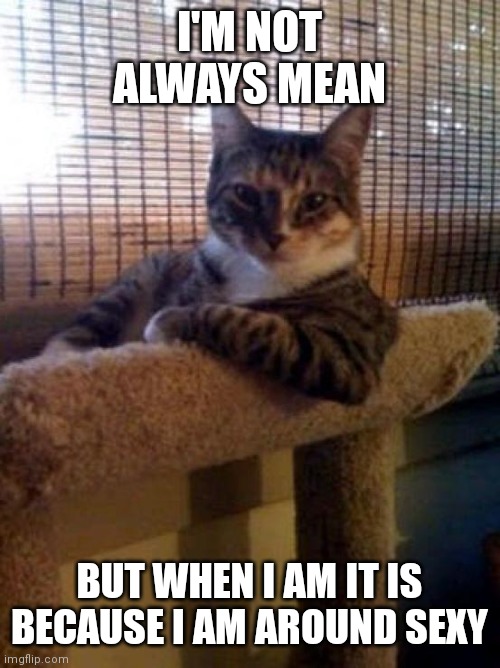The Most Interesting Cat In The World | I'M NOT ALWAYS MEAN; BUT WHEN I AM IT IS BECAUSE I AM AROUND SEXY | image tagged in memes,the most interesting cat in the world | made w/ Imgflip meme maker