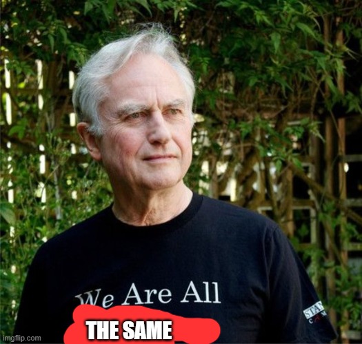 we are all meme | THE SAME | image tagged in we are all meme,bige,funny,memes,lol,e | made w/ Imgflip meme maker