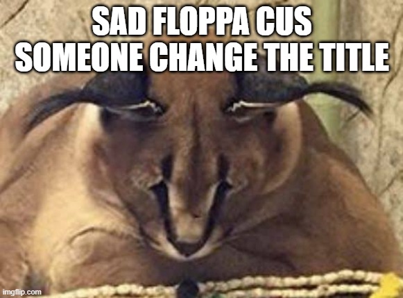 Sad floppa :( | SAD FLOPPA CUS SOMEONE CHANGE THE TITLE | image tagged in sad floppa | made w/ Imgflip meme maker