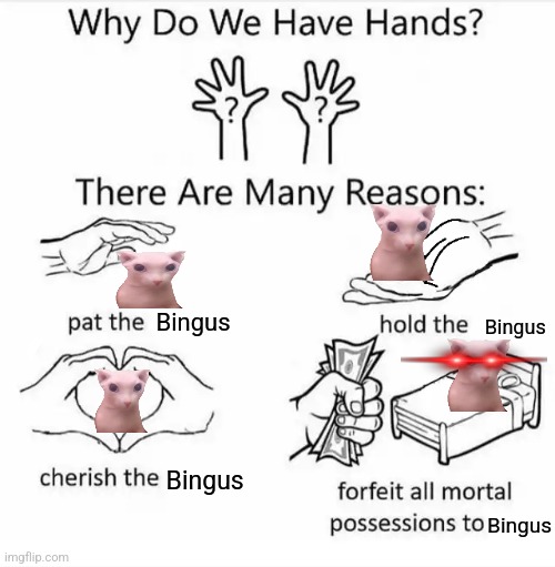 B I N G U S  I S  A B O V E  A L L  M O R T A L S | Bingus; Bingus; Bingus; Bingus | image tagged in why do we have hands,bingus,cats,fun,funny,memes | made w/ Imgflip meme maker
