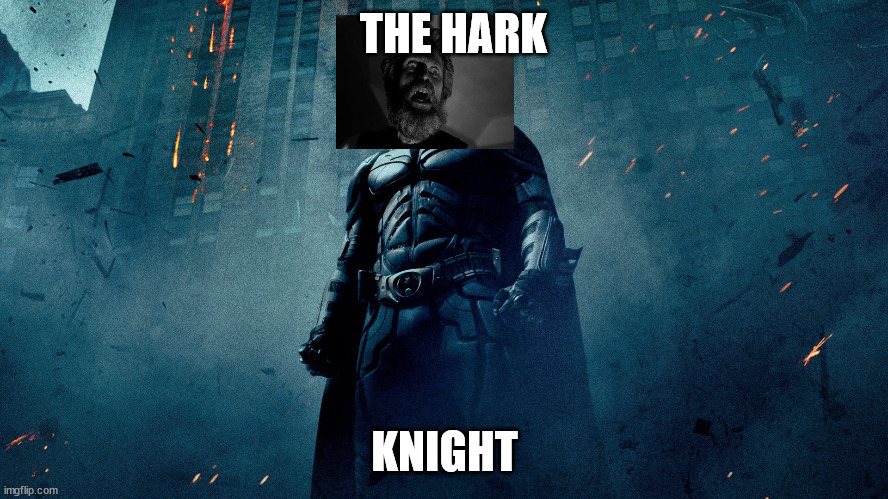 He is a silent guardian,a watchful wickie. A hark knight. | THE HARK; KNIGHT | image tagged in batman hero | made w/ Imgflip meme maker