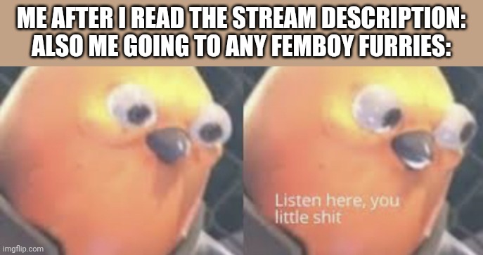 Listen here you little shit bird | ME AFTER I READ THE STREAM DESCRIPTION:
ALSO ME GOING TO ANY FEMBOY FURRIES: | image tagged in listen here you little shit bird | made w/ Imgflip meme maker