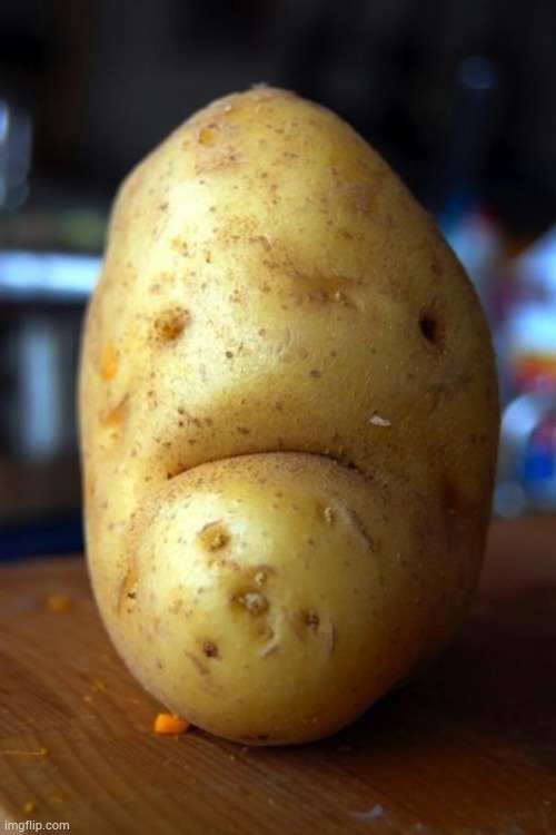 sad potato | image tagged in sad potato | made w/ Imgflip meme maker