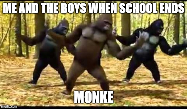 monke | ME AND THE BOYS WHEN SCHOOL ENDS; MONKE | image tagged in monke | made w/ Imgflip meme maker