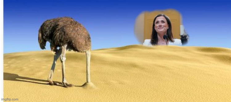 image tagged in ostrich,sand | made w/ Imgflip meme maker