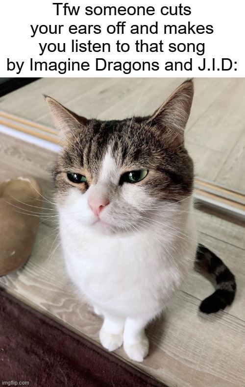 *Cough* | Tfw someone cuts your ears off and makes you listen to that song by Imagine Dragons and J.I.D: | image tagged in cat,sad cat,wink wink nudge nudge,stop reading the tags,cat meme,cat memes | made w/ Imgflip meme maker