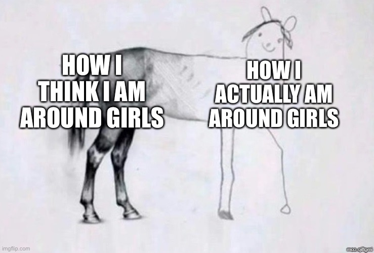 I am pretty awkward | HOW I THINK I AM AROUND GIRLS; HOW I ACTUALLY AM AROUND GIRLS | image tagged in horse drawing,girl,funny,memes,popular,funny meme | made w/ Imgflip meme maker