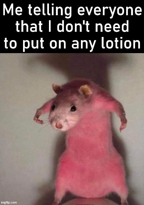 Everyone telling me I need sunscreen, everytime and I never learn | Me telling everyone that I don't need to put on any lotion | image tagged in sun,it puts the lotion on the skin,burns,red,tell me | made w/ Imgflip meme maker