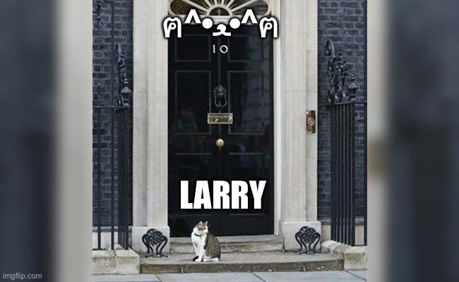 Larry cat | ฅ^•ﻌ•^ฅ; LARRY | image tagged in larry cat | made w/ Imgflip meme maker
