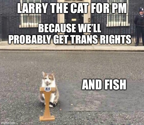 Larry the Cat | LARRY THE CAT FOR PM; BECAUSE WE’LL PROBABLY GET TRANS RIGHTS; AND FISH | image tagged in larry the cat | made w/ Imgflip meme maker