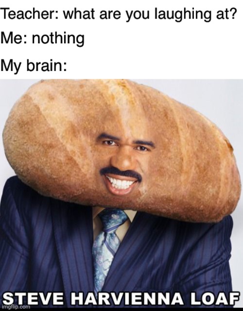 Steve Harvienna Loaf | image tagged in teacher what are you laughing at,blank white template,funny,memes,steve harvey,steve harvienna loaf | made w/ Imgflip meme maker