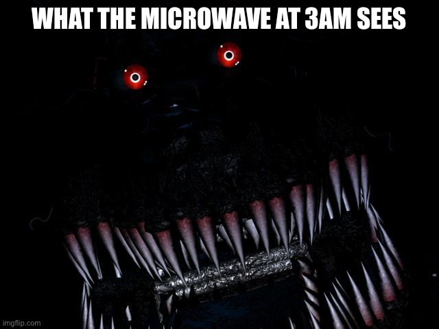 WHAT THE MICROWAVE AT 3AM SEES | image tagged in fnaf,nightmare | made w/ Imgflip meme maker
