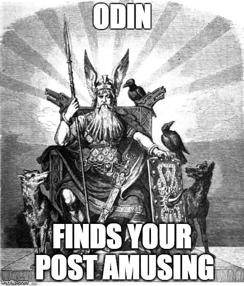 ODIN FINDS YOUR POST AMUSING | image tagged in odin, huginn and muninn | made w/ Imgflip meme maker