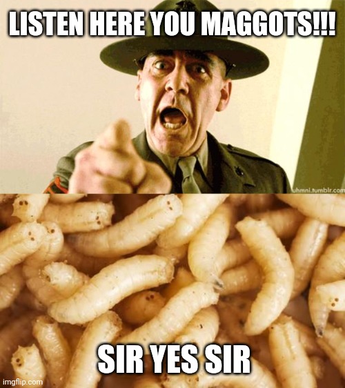 LISTEN HERE YOU MAGGOTS!!! SIR YES SIR | image tagged in drill instructor,maggots | made w/ Imgflip meme maker