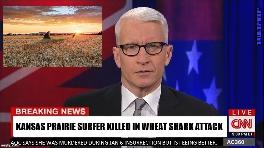 Kansas Wheat Shark Attack. | AARDVARK RATNIK; KANSAS PRAIRIE SURFER KILLED IN WHEAT SHARK ATTACK | image tagged in breaking news,cnn fake news,fox news,funny memes,shark week | made w/ Imgflip meme maker