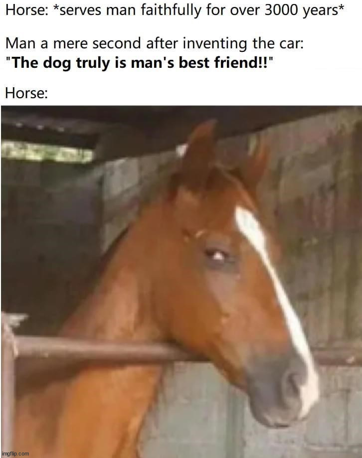 image tagged in repost,horse | made w/ Imgflip meme maker
