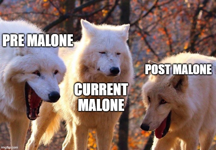 2/3 wolves laugh | PRE MALONE; POST MALONE; CURRENT MALONE | image tagged in 2/3 wolves laugh,funny,memes,dank | made w/ Imgflip meme maker