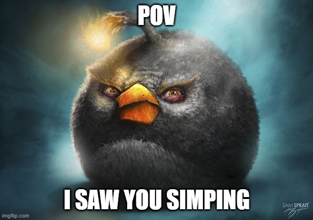 angry birds bomb | POV; I SAW YOU SIMPING | image tagged in angry birds bomb,simp,memes,funny,iss,you have been eternally cursed for reading the tags | made w/ Imgflip meme maker