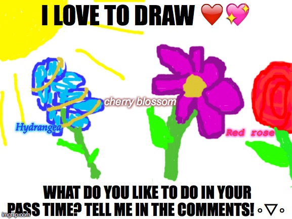 Flowers!! ? | I LOVE TO DRAW ❤️💖; cherry blossom; Hydrangea; Red rose; WHAT DO YOU LIKE TO DO IN YOUR PASS TIME? TELL ME IN THE COMMENTS! ◦▽◦ | image tagged in blank white template | made w/ Imgflip meme maker