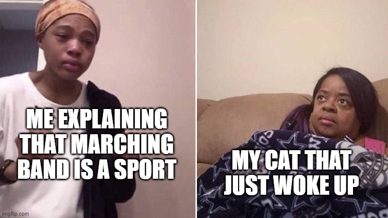 Me explaining to my mom | ME EXPLAINING THAT MARCHING BAND IS A SPORT; MY CAT THAT JUST WOKE UP | image tagged in me explaining to my mom,marching band | made w/ Imgflip meme maker