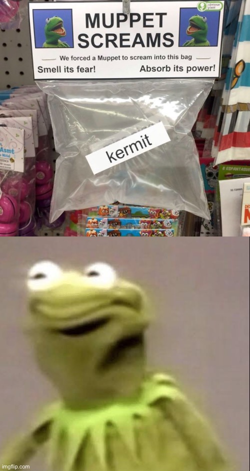 Excuse me… WHAT | image tagged in kermit the frog | made w/ Imgflip meme maker