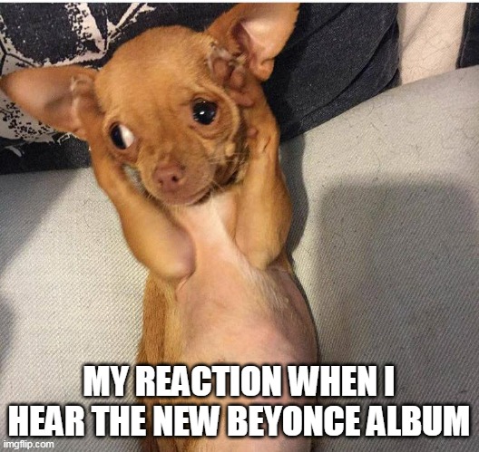 my reaction When I hear the new beyonce album | MY REACTION WHEN I HEAR THE NEW BEYONCE ALBUM | image tagged in dog covers ears,funny,beyonce,music,painful,funny memes | made w/ Imgflip meme maker